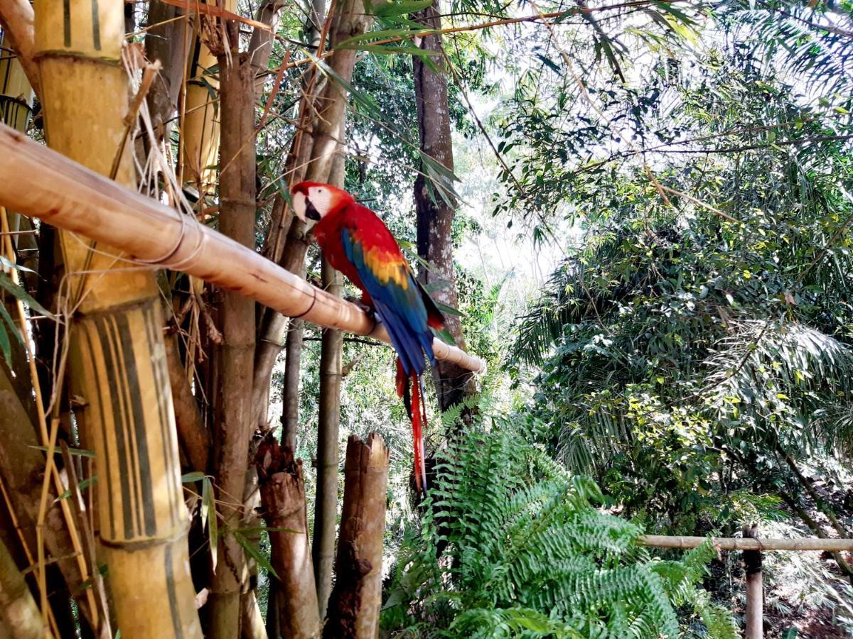 Casa Campo Emaus Caucasia ภายนอก รูปภาพ