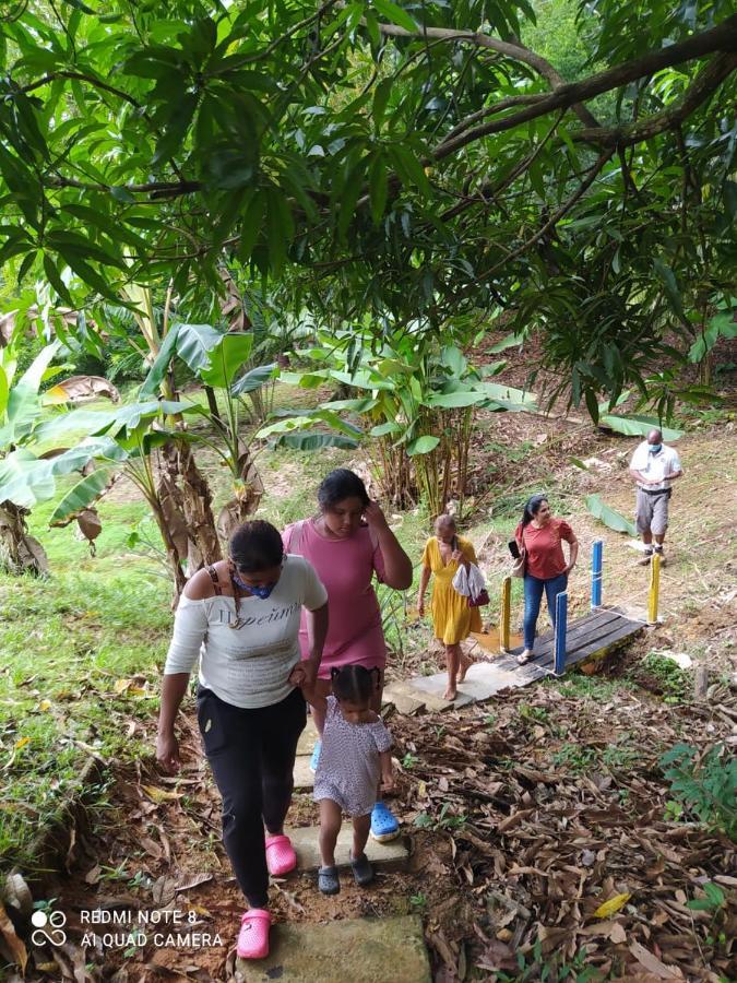 Casa Campo Emaus Caucasia ภายนอก รูปภาพ
